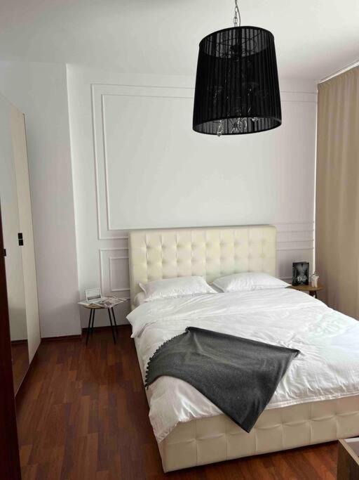 Hidden Gem Apartment In The Center Of The City Brasov Exterior photo